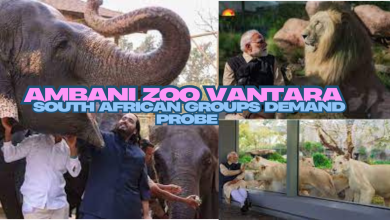 Controversial Ambani Zoo Vantara under scrutiny as South African groups demand investigation into animal welfare practices